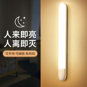 植物小夜燈選購指南 智能新品價格與功能解析